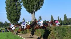 Skrytý hrdina Velké pardubické! Stíhačku outsidera obdivuje i bývalý vítěz