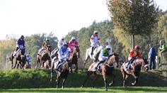Velkou pardubickou poznamenala spousta pádů. Překvapivě zvítězil Talent