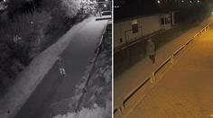 Oběť povalil na zem, trhal z ní šaty. Násilníka hledá policie