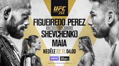 Sledujte UFC 255! Dvě titulové bitvy a mnohem víc živě na Nova Sport