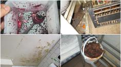 Špína, trus a plíseň! Tyto stánky a restaurace neprošly kontrolou