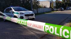Mladík brutálně napadl dvouleté dítě. Umlátil ho k smrti