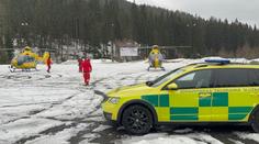 Na muže ve středních Čechách spadl strom. Na místě zemřel