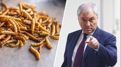 Rusko se vysmívá Evropanům: Červy v jídle máte jako trest za sankce