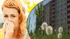Lidé v Praze se dusí! Alergici mají velký problém kvůli sekání