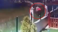 Kluk (5) lezl přes plot pro míč, potrhala ho psí smečka! VIDEO