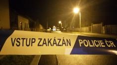 Muž měl napadat rodinu a se sekerou zaútočit na policisty. Ti ho postřelili
