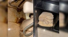 Češky přišly o půl dovolené v Egyptě: Hotel byl smetiště, bály jsme se o zdraví