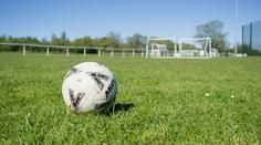 Zvíře útočilo na fotbalisty. Fotbalový zápas v Brazílii se musel dvakrát přerušit