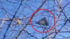 ZÁHADY a UFO: Podívejte se, co nás zmátlo v roce 2012