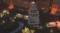 Vánoční strom ze Staromáku jde k truhlářům, vyřežou z něj stoly