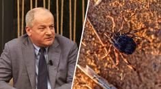 Nové nemoci vniknou do Česka, varuje Prymula. Hrozbou jsou i klíšťata