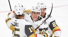 Hronek dal další gól v NHL. Trefil se i Nosek, Hertl pak hned dvakrát!