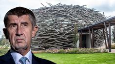 Babiš dorazil před imunitní výbor kvůli možnému vydání, výbor rozhodne 3. února