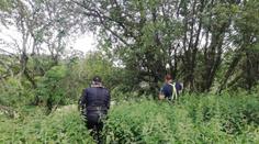 Pohřešovaná dívka se sama vrátila domů! Pátraly po ní desítky policistů