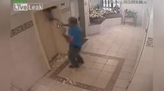 Děsivé VIDEO: Výtah málem zabil psa, smrti unikl o vteřiny