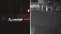 Gang nebo ne? Policie stále neví, kdo má na svědomí vykradené domy