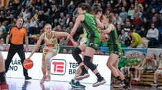 Pojedou Žabiny na vlně euforie? ŽBL začne brněnským derby na Nova Sport 1
