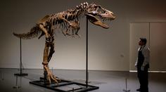 Unikátní kostra dinosaura je na prodej za miliony dolarů