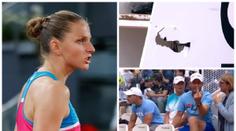Plíšková rozmlátila rozhodčí umpire, kouč ukázal prostředník 