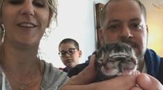 Zrůdná krása: Kotě se narodilo se čtyřma očima a druhou tváří