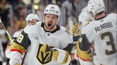 Hertl řádil proti Vejmelkovi, trefil se i Vrána z Washingtonu