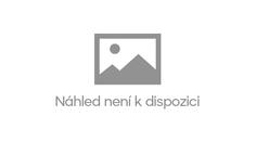 Nezdolný Štěpánek: Vyhrál 5 zápasů za 5 dnů, pak sedl na rotoped