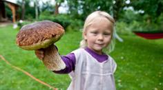 Houbařská sezona je tu! Co přinesete z lesa? A která jedule vás může i zabít?