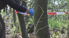 Jela k příteli na kole, cestou ji někdo zabil. Policie dopadla podezřelého