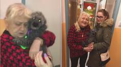 Šťastný konec pátrání! Seniorce z Pardubic vrátili ukradeného psa