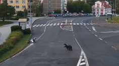 Motorkář ujel policejní kontrole. Měl pozitivní test na drogy