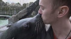 VÍKEND: Den chovatele lachtanů v pražské ZOO