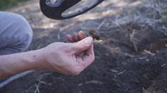Policie se zaměřila na detektory kovů. Tento koníček vám může pořádně zavařit