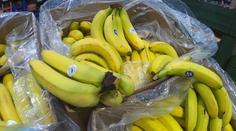 Kontrola supermarketů na Moravě: V Mohelnici příjemně překvapili