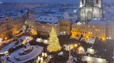 FOTO: Praha vybrala vánoční strom. Smrk rostl na zahradě 85 let
