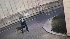 Muž po útoku psa na dítě utekl! Zpanikařil jsem, tvrdil při výslechu