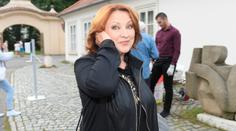 Zvýšit daň z nemovitosti? Proti zahraničí je směšně nízká, tvrdí některé celebrity
