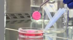 Vědci vyvinuli umělý orgán. Má pomoci lidem s AIDS a leukémií