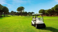 Tříletý chlapec zkoušel řídit golfový vozík. Srazil a zabil staršího bratra