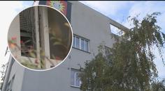 Lupiči měli svázat hlídače a zajímat se o trezor! Policie o případu mlčí