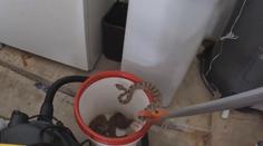 Muže vyděsil chřestýš v garáži. To ještě netušil, že jich tam je dvacet