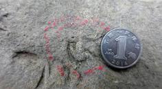 Nový objev! Vědci odhalili dosud nejmenší fosilní stopu dinosaura