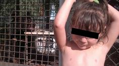 Medvěd Dášence (3) ukousl ruku. Těsně po vyfocení tohoto snímku!