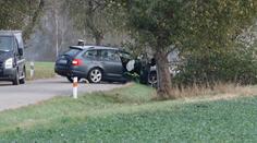 Auto najelo u Vlašimi do stromu. Řidič zemřel, děti odvezly vrtulníky