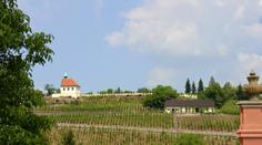 Botanická zahrada hl. města Prahy ožije vinobraním