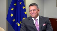 Lidé si přejí bezemisní ekonomiku, uvedl místopředseda Evropské komise