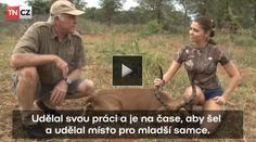 Exkluzivní video z Afriky: Zabili jsme antilopu, byla stará