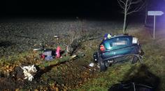 Octávie vylétla ze silnice a přerazila strom. Řidič nehodu nepřežil