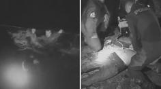 Šlo o vteřiny: Muže z Vltavy tahal policista přivázaný na laně! VIDEO