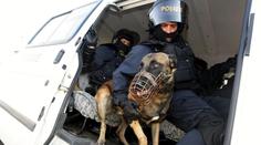 Řadu lidí odsoudili díky pachovým stopám, někteří odborníci jim nevěří